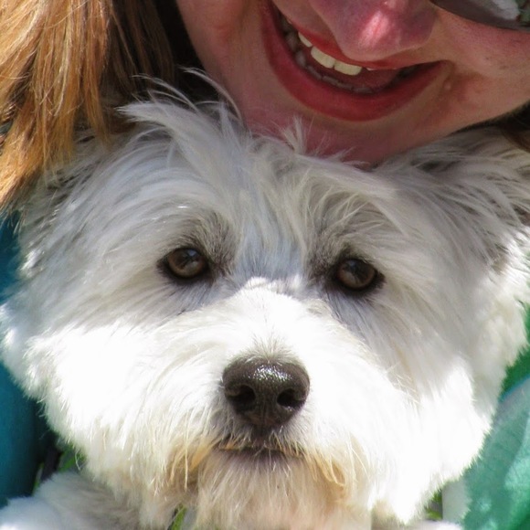 Meet your Posher, Scooby - Picture 1 of 1